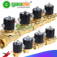 Vanne solénoïde miniature Gaia pneumatique à 2 voies air/eau en laiton à action directe normalement ouverte 12V 110V 24V 220V 2W025-08