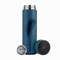 Bouteille isotherme intelligente moderne et écologique personnalisée avec logo, 500 ml, affichage numérique de la température LED, filtre en acier inoxydable, vide