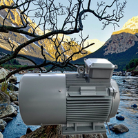 Générateurs éoliens de sortie d'usine, petits générateurs hydroélectriques à force hydraulique, générateurs hydroélectriques CC/CA sans balais