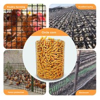 Clôture en filet plastique pour l'agriculture, anneau de protection pour bassin à poissons, filet de barrière pour maïs et poulets, clôture d'isolation domestique, jardin potager