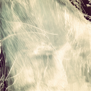 2019 panneau de gypse le moins cher en fibre de verre - Product Image 1