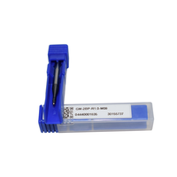 ZCC End Mill GM-2BP-R0.75-M10 GM-2BP-R0.75-M16 GM-2BP-R1.0-M06 GM-2BP-R1.0-M12 2-Pisau