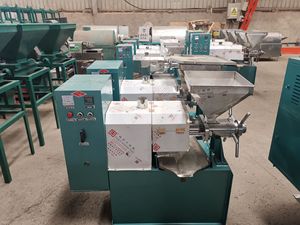 Estrazione di benzina di arachidi palmare pressatura lavorazione di fresatura vite olio freddo macchina pressa per India - Product Image 5