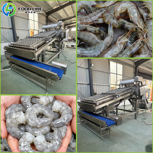 Maquinaria para Despellejar Pescado, Peladora de Camarones Blancos, Línea de Producción de Camarones, Maquinaria para Procesamiento de Carne - Product Image 4