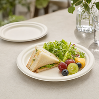 Assiette Ronde Jetable Compostable en Bagasse de Canne à Sucre de 10 Pouces, Meilleure Vente, pour Mariages, Fêtes et Traiteur