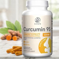 Capsules de Curcuma Curcumine Phytosome 500 mg, Capsules Végétales pour Adultes, Stimulant Cérébral, Soutien Immunitaire et Articulaire, Complément Alimentaire à Base de Plantes