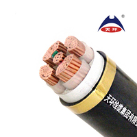 Cable de alimentación eléctrica subterráneo XLPE de cobre de 5 núcleos Tamaños de 25mm-300mm para construcción MOQ 500m