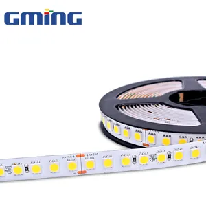 Dekorasyon ışıklandırma LED ışıkları LED şerit ışık 5m/rulo SMD 5050 84leds/m 24V 80 peyzaj Nano kaplama Led şerit Norming Led 15W