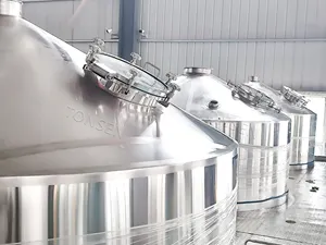 3000L 5000L progetto chiavi in mano del sistema di birreria attrezzature commerciali per la produzione di birra artigianale