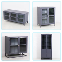 Vitrina Moderna de Vidrio con Marco Metálico y Puerta de Vidrio, Librería para el Hogar, Oficina o Dormitorio, Muebles para Sala de Estar