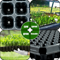 Bac à semis de qualité stable avec kit de dôme d'humidité, pots hauts en plastique PVC noir écologiques pour le marché chilien