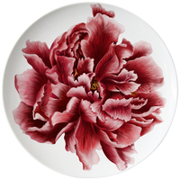 Veweet — ensemble d'assiettes de mariage chinois, os de rose, ballerines élégantes