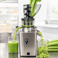 Fabrieks Prijs Masticating Juicer Brede Invoeropening Gehele Fruit Slow Juicer met Motor Sapcentrifuge Beste Slow Juicer voor Selderij