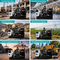 Générateur diesel fiable de type ouvert 250 kW 312 kVA avec moteur DEUTZ, triphasé, pour l'alimentation de secours des usines industrielles, des hôpitaux, meilleur prix