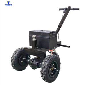 Chariot électrique pour remorque 48V 2800lbs, chariot utilitaire pour remorque, chariot électrique personnalisé pour diverses charges - Product Image 1