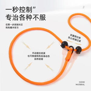 Correa para Perros de Estilo Nuevo, Cadena Tipo P, Correa Deslizante para Exhibición de Perros, Fabricante de Correas - Product Image 2