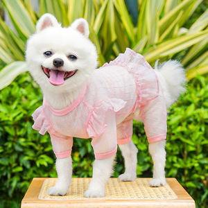Four Legged Pet <b>Clothes</b> Dog <b>Cat</b> Lace Mesh Dress Summer Spring All Seasons Apparel <b>For</b> Small Pets - Product Image 2