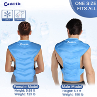 Feelworld-bio — support de glace réutilisable pour les douleurs du dos, thérapie contre le froid, pour les lombaires, soulagement des douleurs musculaire et sciatique, bleue