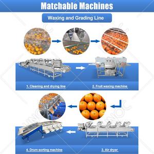 เครื่องคัดขนาดผลไม้แบบอัตโนมัติ HNOC สำหรับเสาวรส แอปเปิ้ล <span class=keywords><strong>เชอ</strong></span><span class=keywords><strong>ร์</strong></span><span class=keywords><strong>รี่</strong></span> <span class=keywords><strong>มะเขือเทศ</strong></span> แบบดรัม พร้อมระบบทำความสะอาดและคัดเกรด ราคา - Product Image 5
