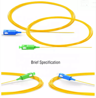 Convertisseur de fibre optique pour conduit de fibre, câble de fibre optique en verre, fils de fibre