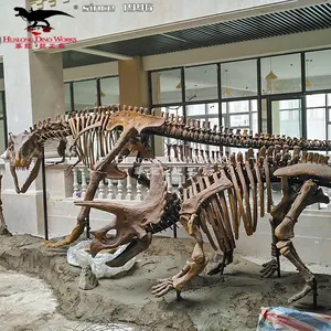 סימולציה בגודל חיים דינוזאור שלד חיצוני קישוט