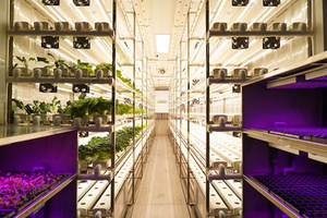 Lyine Système de culture hydroponique de serre de légumes de ferme automatique complet conteneur d'expédition de 40 pieds - Product Image 3