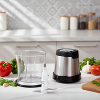 Industriële elektrische 0.6L vleesmolen, voedselhakselaar, blender, huishoudelijk, hoge efficiëntie, 200W, voor groenten