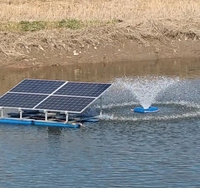 Pompe d'Alimentation en Eau Solaire de Surface 1,5 kW CC 48 V pour Fontaine Aérateur