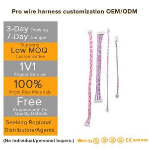 맞춤형 듀폰 2.54 피치 구리 단자 와이어 연결 단일/이중 헤드 공장 제작 전자 플라스틱 배선 하네스 - Product Image 1