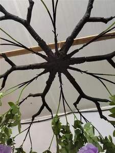 Décoration de <span class=keywords><strong>salle</strong></span> de EG-WD73 intérieur plafond en soie artificielle suspendu décoration de fleurs de glycine violette pour <span class=keywords><strong>salle</strong></span> de mariage - Product Image 6