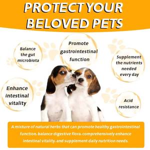 OEM cani probiotici morbidi mastica con olio di salmone lecitina per la salute degli enzimi digestivi supporto immunitario globale tratta integratore per animali domestici - Product Image 5