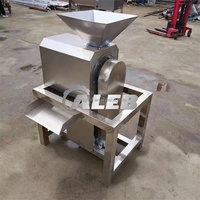 Fruit En Groenten Citroen Mango Appel Tomaat Ananassap Breisel Schroef Extractor Sapmachine