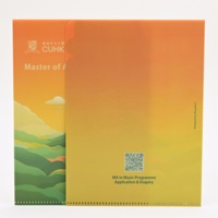 Porte-documents accordéon extensible personnalisé en PP A4 A5 avec onglets, organiseur de documents promotionnel pour entreprises, fabrication OEM
