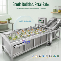 Commerciële ginsengwortelwasmachine voor delicate verse wortels met zachte reiniging en droging