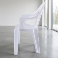 Chaises de jardin d'extérieur en plastique traditionnelles blanches - Prix