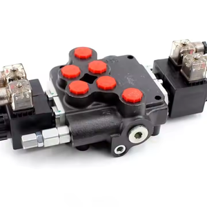 Vanne de distribution hydraulique P80 pour tracteurs : Opportunités de partenariats rentables s'offrent à vous - Product Image 1