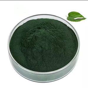 توريد مباشر الغذاء الصف ورقة التوت الكلوروفيل في مسحوق شكل طبل التعبئة والتغليف - Product Image 1