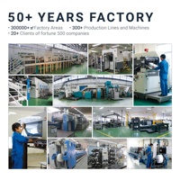 Fabrication en usine, emballage personnalisé en carton ondulé EU PPWR, boîte d'expédition avec logo, boîte de courrier noire