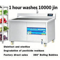 Lavadora de Burbujas de Ozono Comercial a Precio de Fábrica, 100-500 kg/h, para Limpieza de Vegetales, Fácil Operación, Reemplaza el Trabajo Manual