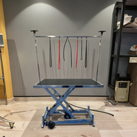 Table de toilettage électrique pliable pour animaux de compagnie, simple, pour la tonte des chiens, directement de l'usine