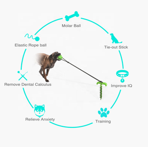 Juguetes de Entrenamiento para Perros Ecológicos Personalizados al por Mayor, Poste de Juego Resistente para Perros al Aire Libre, Suministros para Mascotas Saludables - Product Image 3