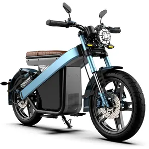 Citycoco-patinete eléctrico de 2 ruedas, Scooter de 1000w, batería de litio de 60V, autobalance, 2000w