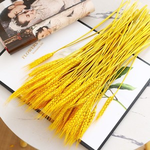 Ramo de Flores Secas de Trigo Dorado, 100 Tallos de 45-50 cm, Decoración para Bodas, Accesorios para Fotografía en Exteriores, Adorno para el Hogar - Product Image 3