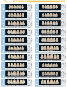 All'ingrosso Multi tonalità due strati anteriori inferiori denti in resina acrilica sintetica - Product Image 3