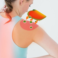 Patch Herbal Amazon le plus vendu pour le soulagement des douleurs au cou, aux épaules et au dos – Produits à faible MOQ – Pansement efficace pour les douleurs au genou