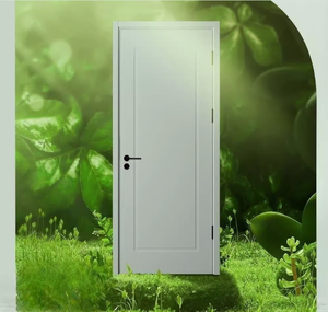 Vente en gros Panneau de sécurité minimaliste <span class=keywords><strong>Sensity</strong></span> Porte en fibre de carbone Portes de chambre à coucher - Product Image 1
