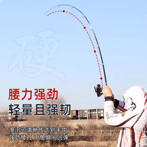 Mini canne à pêche télescopique 3,5 m pour la pêche en mer, canne à eau salée avec guides SIC, action moyenne rapide, portable et légère, canne de lancer - Product Image 4