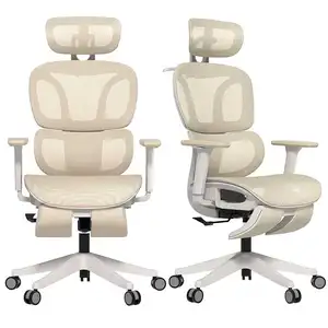 Luxo <span class=keywords><strong>Bifma</strong></span> <span class=keywords><strong>Standard</strong></span> <span class=keywords><strong>High</strong></span> Back Boss Manager Full Mesh Executivo cadeira ergonômica do escritório com apoio lombar - Product Image 1