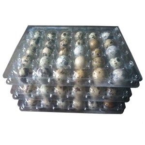 Ready to ship ! 30 eggs plastic quail egg trays/plastic egg tray for sale