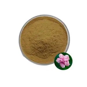 Factory Supply Hibiscus Flower Extract Powder 10:1 Hibiscus Extract Hibiscus Flower Extract Powder